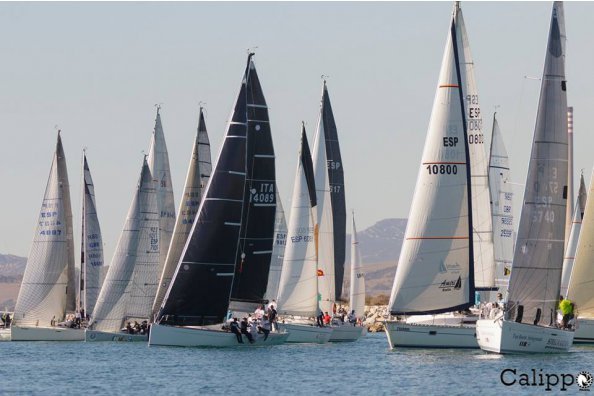 Aleco, Viejo Lobo, Titicaca y Altarik IV ganan el circuito en su respectivas categorías tras la última regata organizada por el RCN La Línea