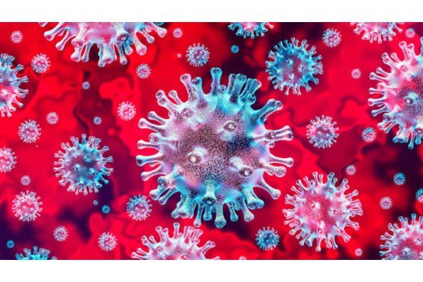 Debido a la actual situación por COVID-19 en el Campo de Gibraltar queda anulada la prueba 2 prevista para el 13 febrero